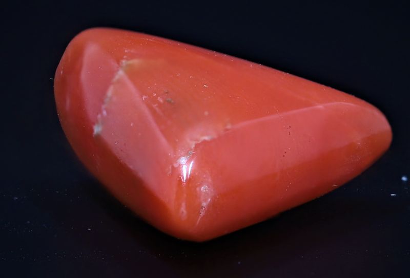 452005 Natural Red Coral ( Munga) - 4.25 Carat Weight - Origin Italy