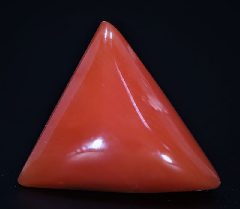 452006 Natural Red Coral ( Munga) - 3.50 Carat Weight - Origin Italy