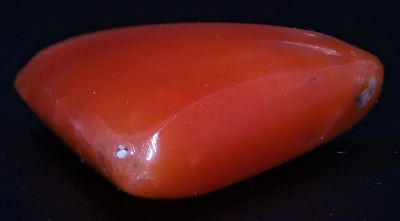 452006 Natural Red Coral ( Munga) - 3.50 Carat Weight - Origin Italy