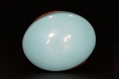 542002 Natural Turqoise (Fizora) Gemstone 20 -Carat Weight-Origin Iran