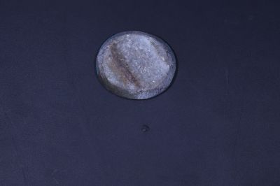 402069 Certified  Turqoise (Fizora) Gemstone 24.25 -Carat Weight-Origin Iran