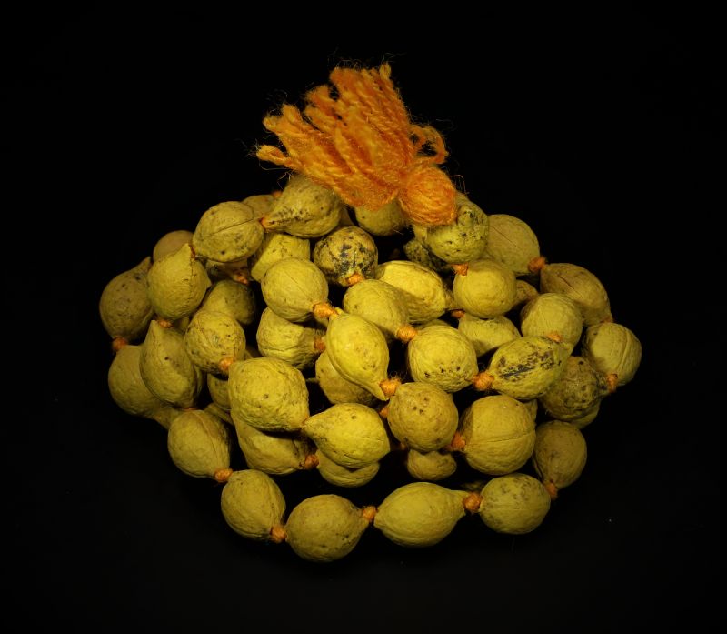 Putrajeevak mala