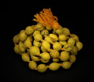 Putrajeevak mala