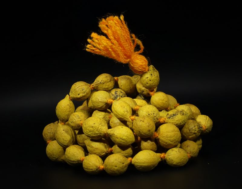 Putrajeevak mala