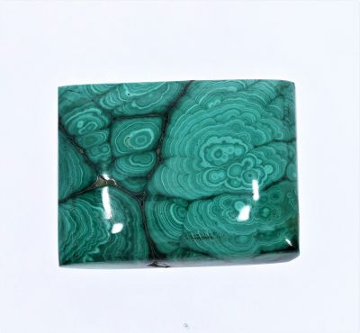 71718 Natural Malachite (Kidney) 55.8 Carat Weight Origin India