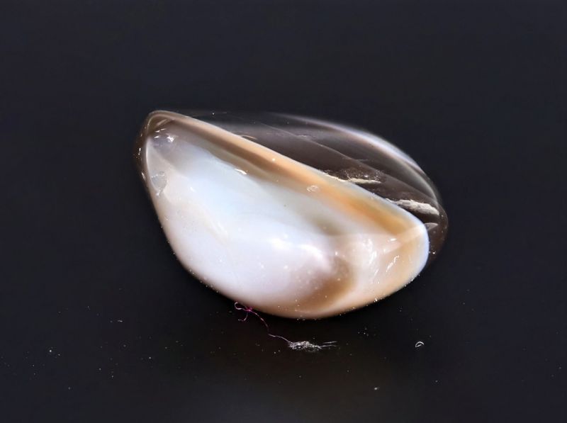 261703 Original Sulemani Hakik Gemstone ( Agate Stone) - 6.05 Carat Weight - Origin India