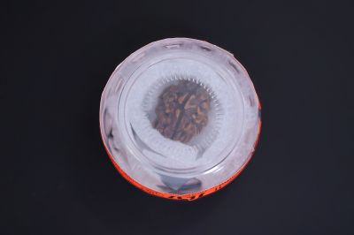 Natural 1 Mukhi Rudraksha - 02.018 Carat Weight - Origin - India