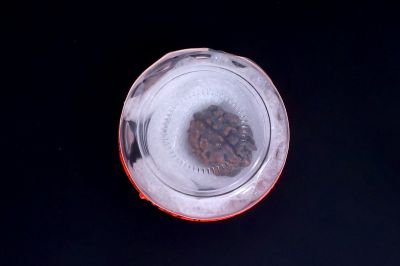 Brown Rudraksh 1 Mukhi - 02 Carat Weight - Origin - India