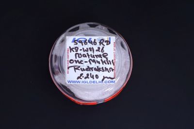 Brown Rudraksh 1 Mukhi - 02 Carat Weight - Origin - India