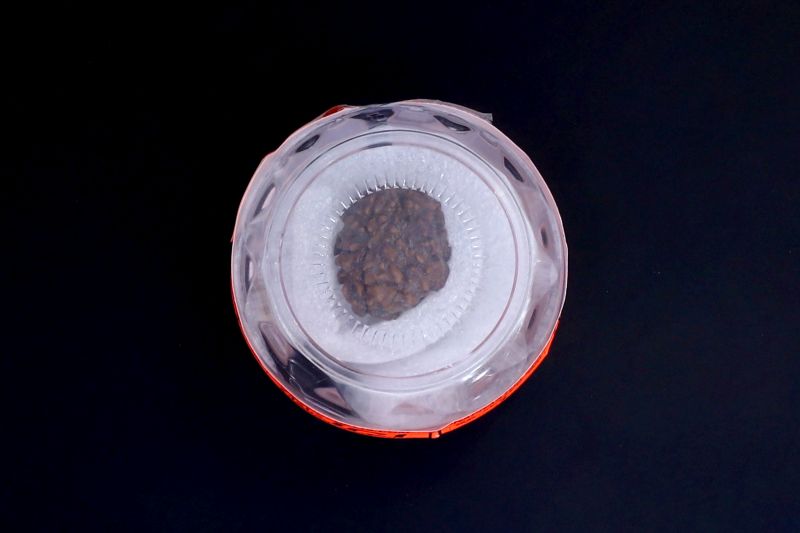Natural 1 Mukhi Rudraksha - 01.924  Carat Weight - Origin - India
