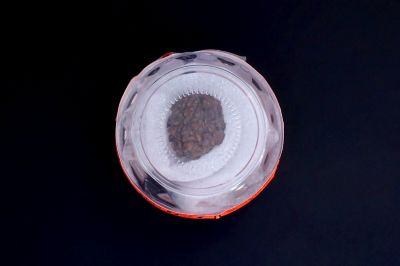 Natural 1 Mukhi Rudraksha - 01.924  Carat Weight - Origin - India