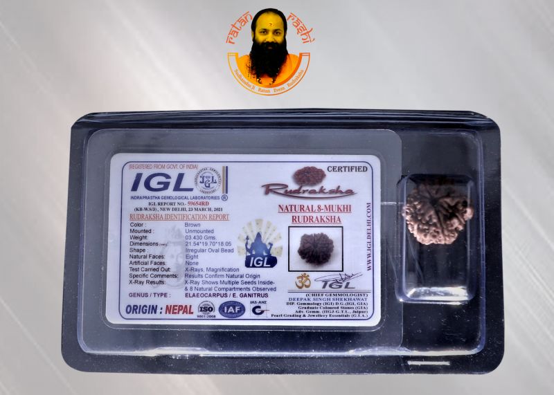 Natural 10 Mukhi Rudraksha - 03.430 Carat Weight - Origin - Nepal