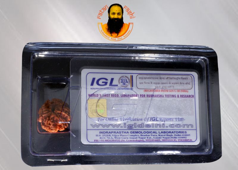 10 Mukhi Rudraksha - 05.324 Carat Weight - Origin - Nepal