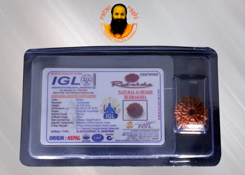 Rudraksha 10 Mukhi Brown - 04.078 Carat Weight - Origin - Nepal