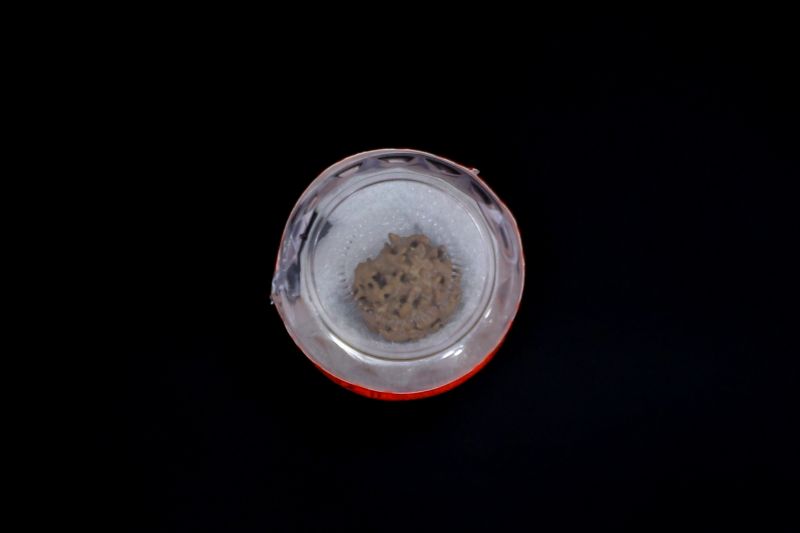 5 Mukhi Rudraksha - 02.682 Carat Weight - Origin - Nepal