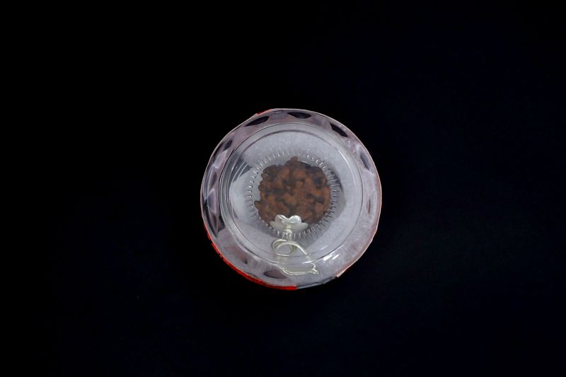 Rudraksha 5 Mukhi Brown - 03.692 Carat Weight - Origin - Nepal