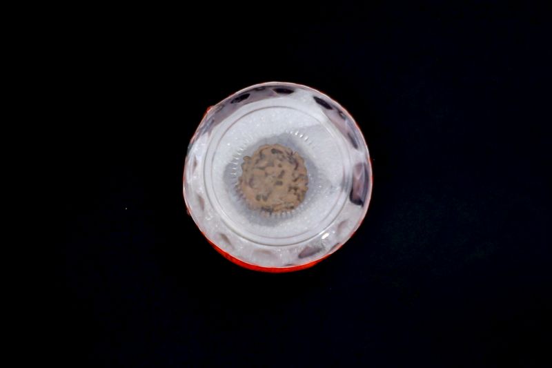 5 Mukhi Rudraksha - 02.130 Carat Weight - Origin - Nepal