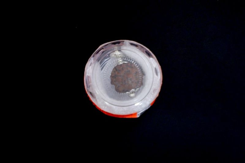 Rudraksha 5 Mukhi Brown - 03.922 Carat Weight - Origin - Nepal