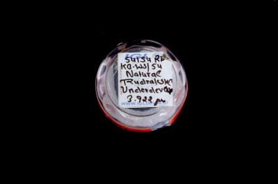 Rudraksha 5 Mukhi Brown - 03.922 Carat Weight - Origin - Nepal