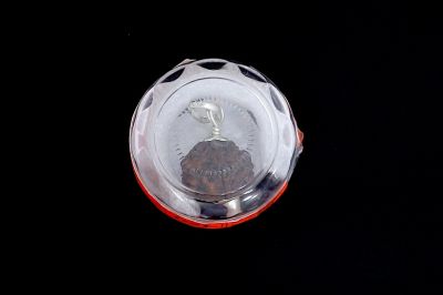 Rudraksha 5 Mukhi Brown - 04.026 Carat Weight - Origin - Nepal