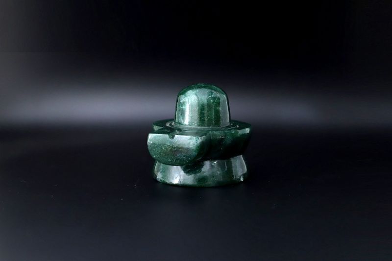 Kidney Shivling