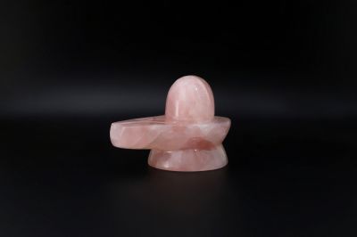 Rose Shivling