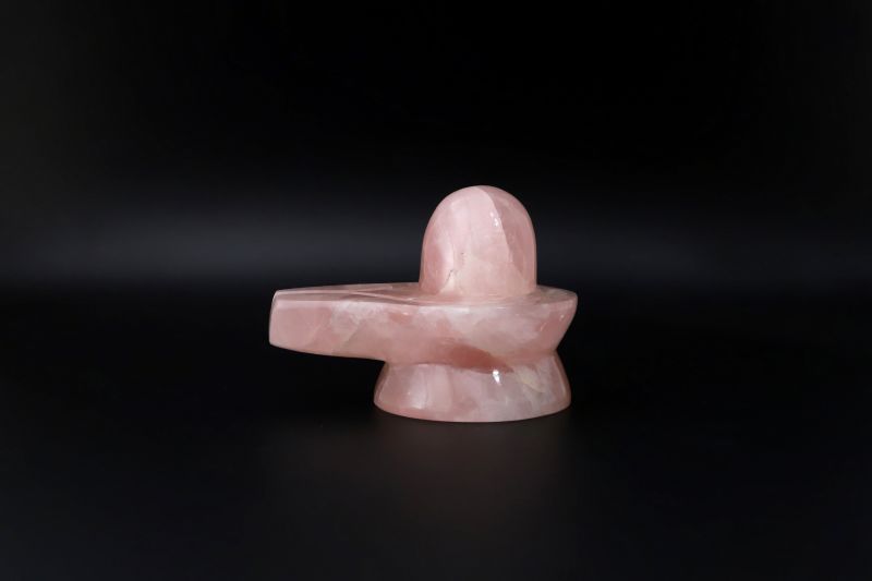 Rose Shivling
