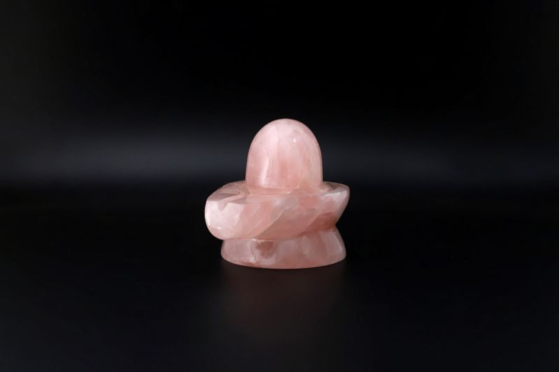 Rose Shivling