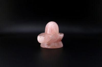 Rose Shivling