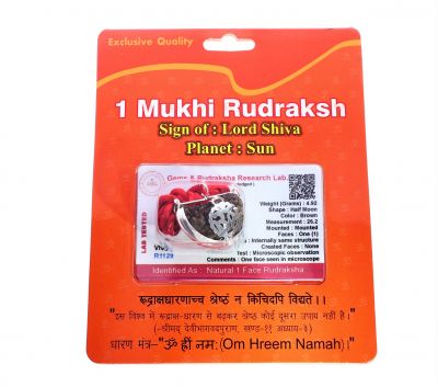 Natural 1 Mukhi Rudraksha Shanka- 4.92 Gram  Weight - Origin - Nepal