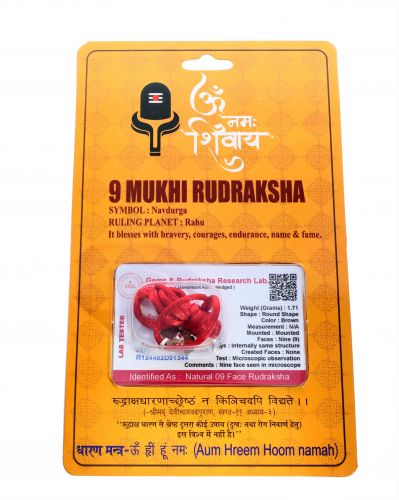 9 Mukhi Rudraksha - 1.71 Gram  Weight - Origin - Nepal