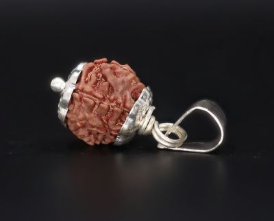 Rudraksha 7 Mukhi  Brown - 3.48 Gram Weight - Origin - Nepal