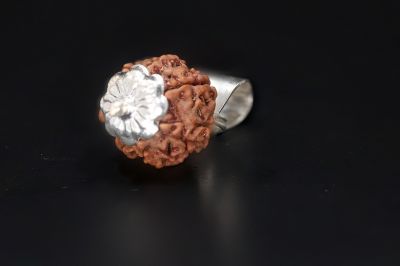 Rudraksha 7 Mukhi  Brown - 3.96 Gram Weight - Origin - Nepal