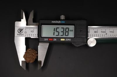 1 Mukhi Rudraksha - 3.52 Gram Weight - Origin - Nepal