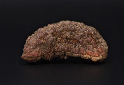 Rudraksha 1 Mukhi  Brown - 10 Carat Weight - Origin - Nepal