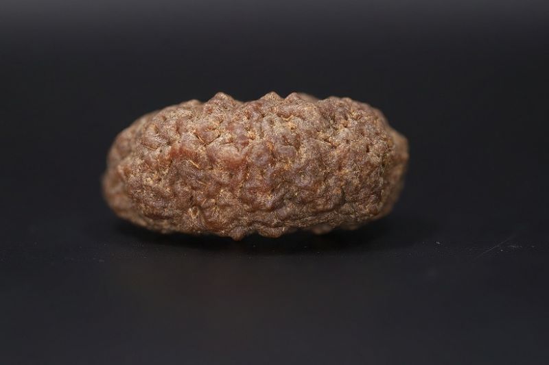Rudraksha 1 Mukhi  Brown - 5.40 Gram Weight - Origin - Nepal