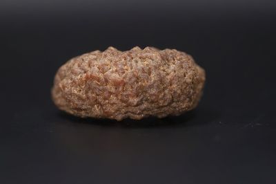 Rudraksha 1 Mukhi  Brown - 5.40 Gram Weight - Origin - Nepal