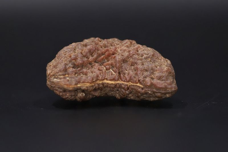 Rudraksha 1 Mukhi  Brown - 5.40 Gram Weight - Origin - Nepal