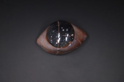 Sulemani Hakik Eye-RPSHE2021_01