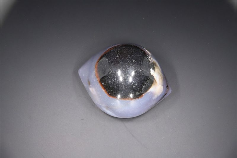Sulemani Hakik Eye-RPSHE2021_03