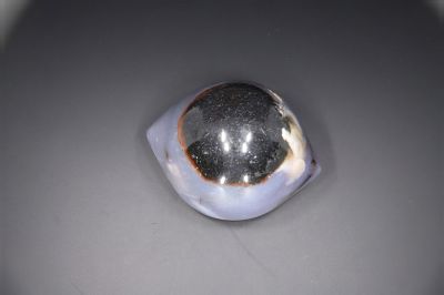 Sulemani Hakik Eye-RPSHE2021_03