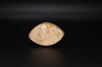 Sulemani Hakik Eye-RPSHE2021_07