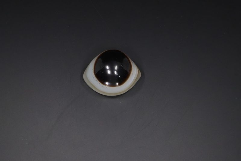 Sulemani Hakik Eye-RPSHE2021_14
