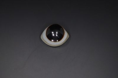 Sulemani Hakik Eye-RPSHE2021_14