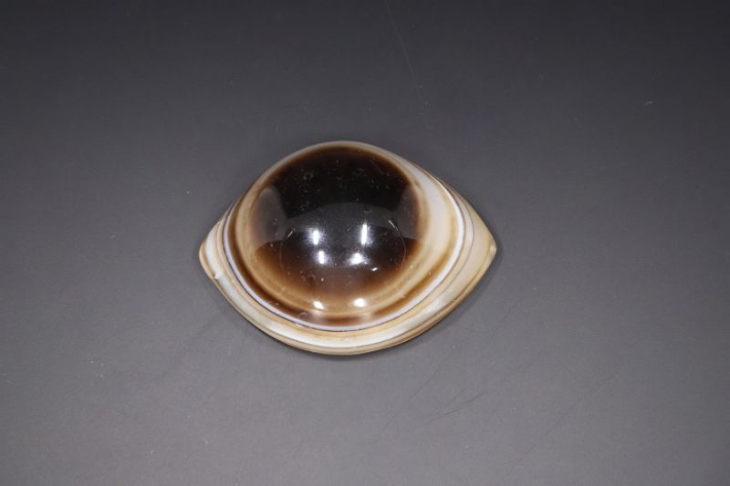 Sulemani Hakik Eye-RPSHE2021_18