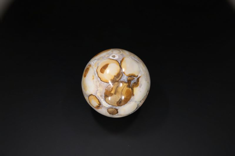 Petrified Wood Ball-RPSB2021_19