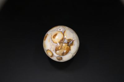 Petrified Wood Ball-RPSB2021_19