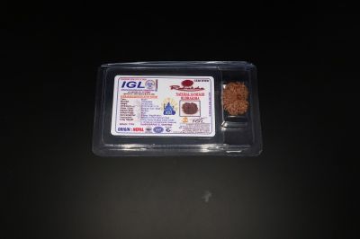 Natural  13 Mukhi Rudraksha -04.365 Gram Carat Weight - Origin - India