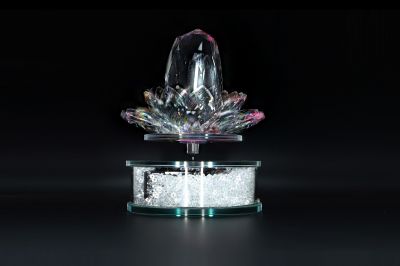 Crystal Moving flower-SJRER_PS_142