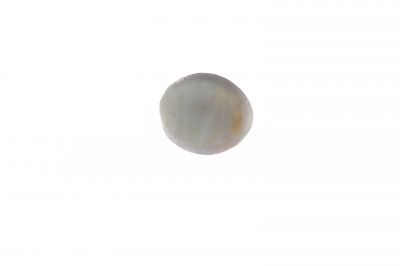 201707 Natural Cats Eye Gemstone (Lehsunia) - 6 Carat Weight - Origin India